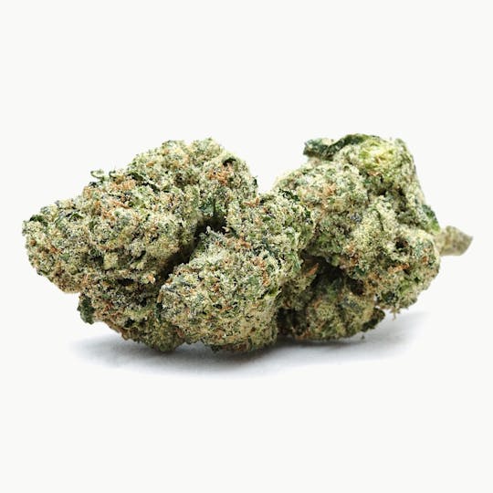 High Tide Organics - Runtz | Light Dep - 1