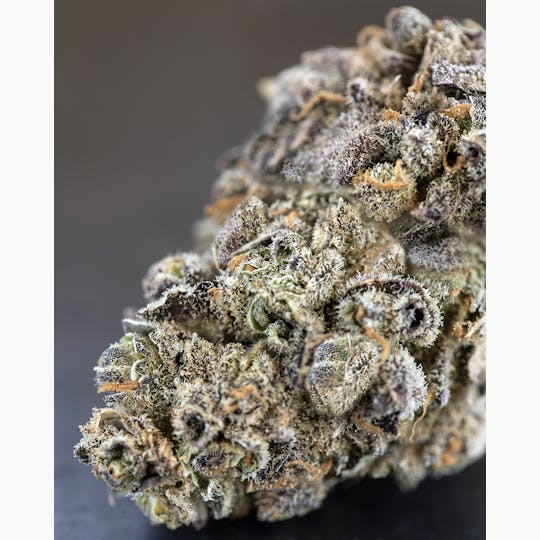 Tops Farm - BlueDream SourJack 1/8th (3.5 grams) - 1