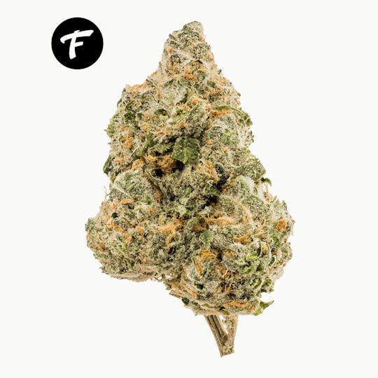 Forte Cannabis - Crunch Berries - 25.26% - 1