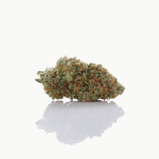 SugarTop Buddery - Mondo Bat Pre-Roll (1g) - Golden Lemons - 1