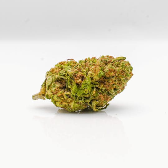 SugarTop Buddery - N*rnia - Sungrown - 1