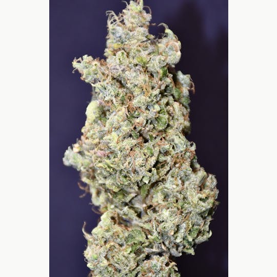 ITF - Girl Scout Cookie - 1