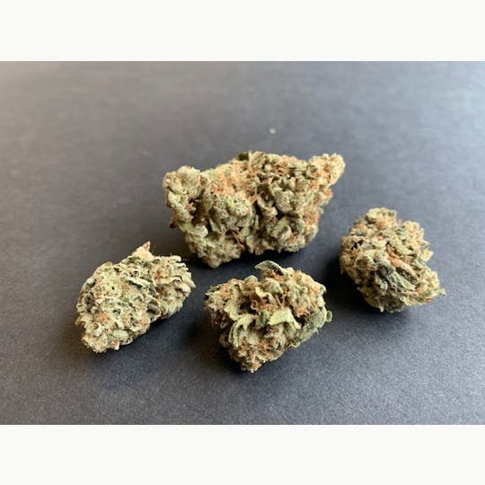 ITF - Bruce Banner - 1