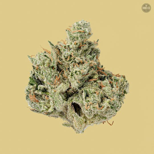 Kind & Co - Chem Pucker - 1