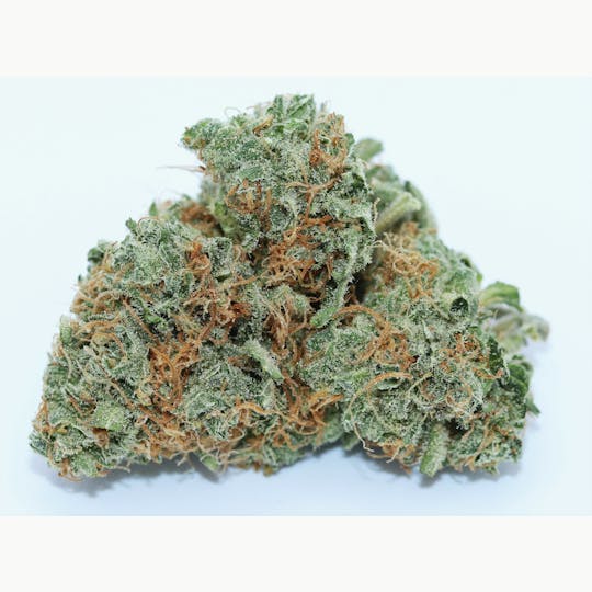 Elevation 207 - Lilac Diesel - 1