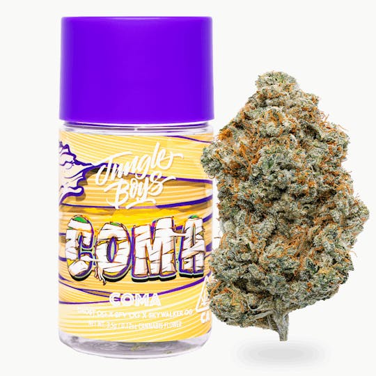 Jungle Boys - Jungle Boys | Coma - 3.5g Jar - 1