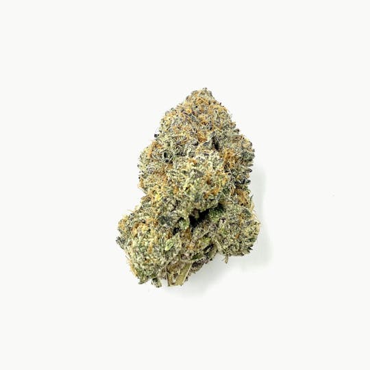 Indico - Ice Cream Cake - 1