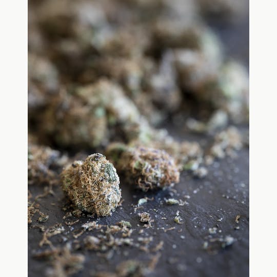 Tops Farm - Concord Cream Small Bud/Shake 14 grams - 1