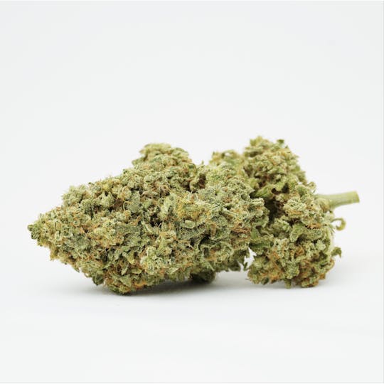 PONO LIFE MAUI - Frosted Guava - 1