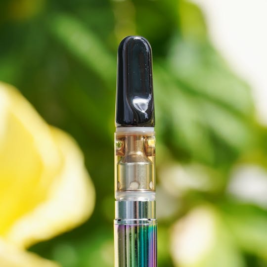 PONO LIFE MAUI - Pina Colada Distillate Cartridge - 1