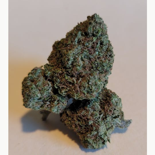 Daedalus Craft Cannabis - Kashmir Kush - DCC Greenhouse Grown - 1