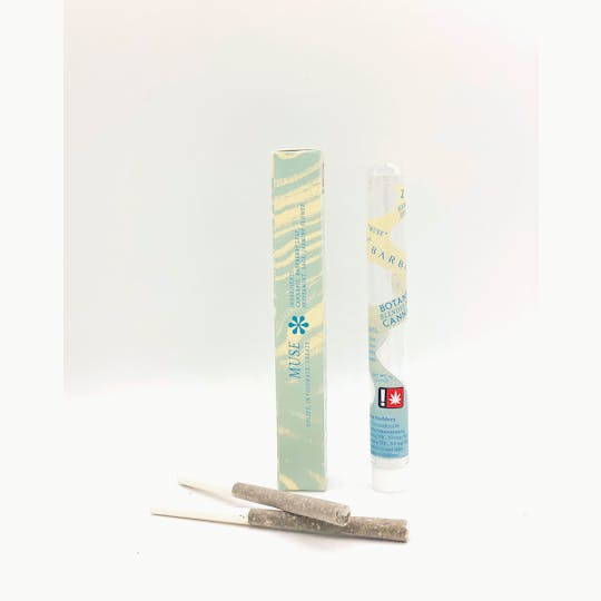 SugarTop Buddery - Herbal Spliff - Muse 2(0.6g) - 1