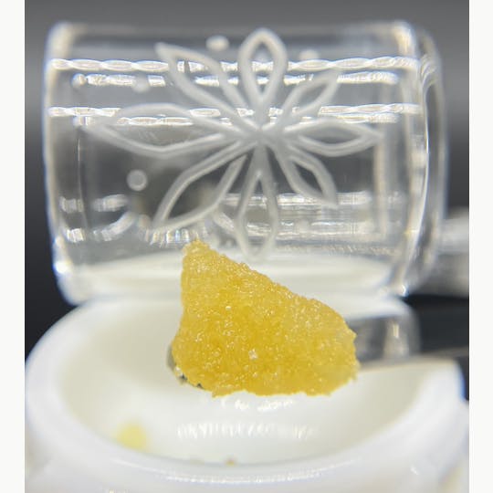 Sooner Glue - Platinum White Cake - 1