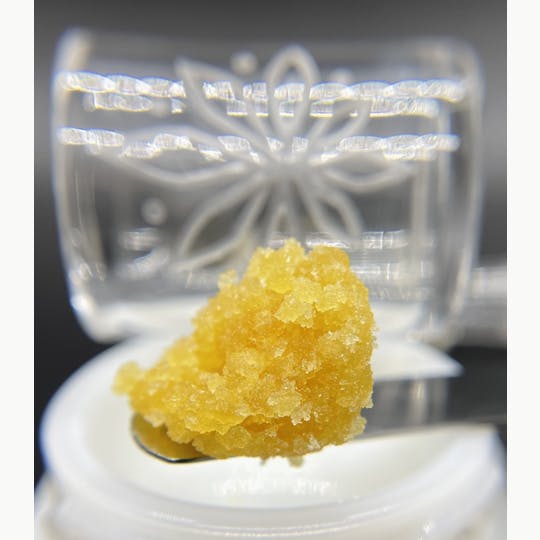 Sooner Glue - Queen's Lollie - 1