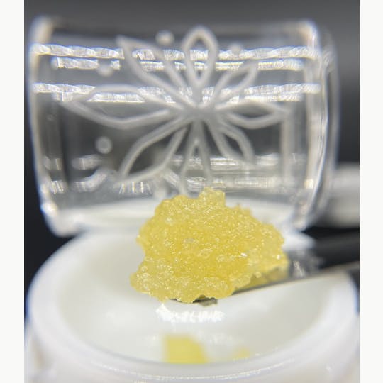 Sooner Glue - Royal Kush - 1