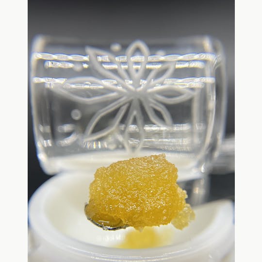 Sooner Glue - Sunset Sherbert - 1