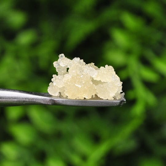 Envy - Banana Split - Sugar Wax - 1g - 1