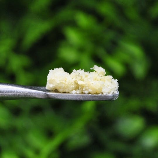 Envy - Member Berry - Crumble - 1g - 1