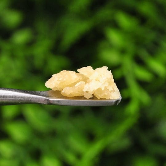 Envy - Sour Kosher - Sugar Wax - 1g - 1