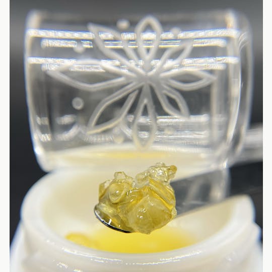 Sooner Glue - Durban Grapes Diamonds - 1