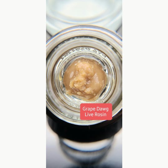 Terpman & Rosin - Grape Dawg Live Rosin - 1