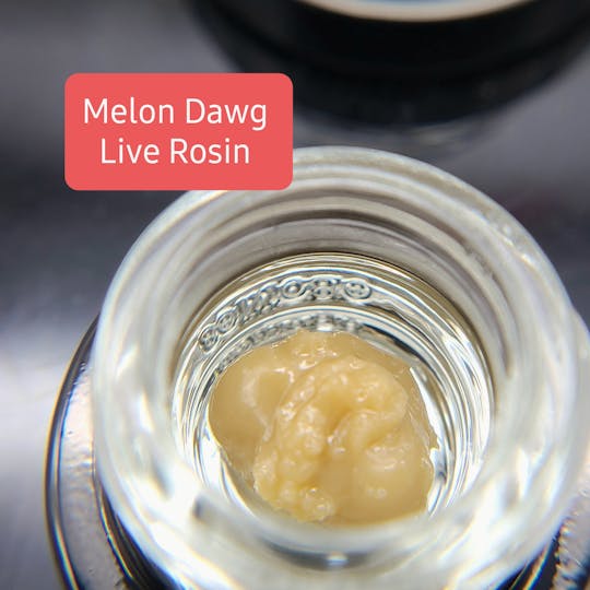Terpman & Rosin - Melon Dawg Live Rosin - 1