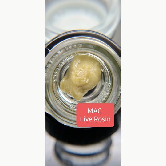 Terpman & Rosin - MAC Live Rosin - 1