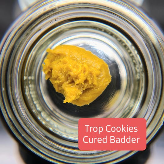 Terpman & Rosin - Trop Cookies Cured Badder (96) - 1