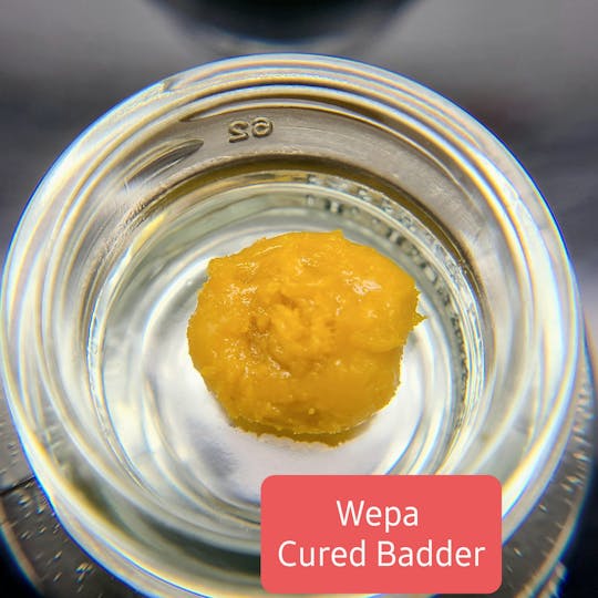 Terpman & Rosin - Wepa Cured Badder - 1