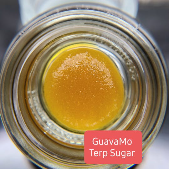 Terpman & Rosin - GuavaMo Terp Sugar - 1