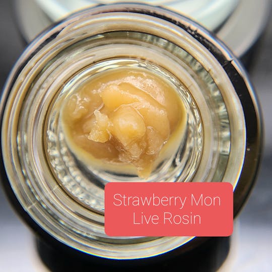 Terpman & Rosin - Strawberry Mon Live Rosin - 1