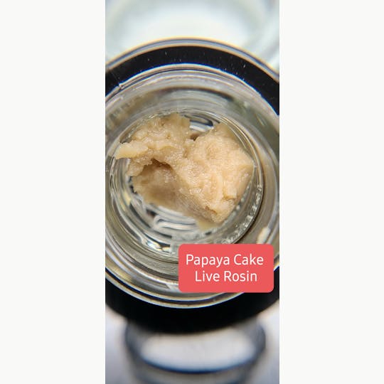 Terpman & Rosin - Papaya Cake Live Rosin (89) - 1