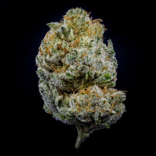 JAR Cannabis Co. - Divorce Cake by JAR Cannabis Co. - 1