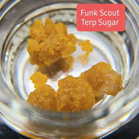 Terpman & Rosin - Funk Scout Terp Sugar - 1