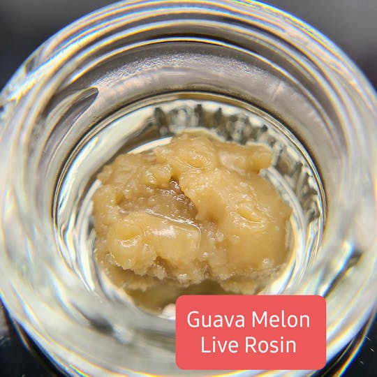 Terpman & Rosin - Guava Melon Live Rosin - 1