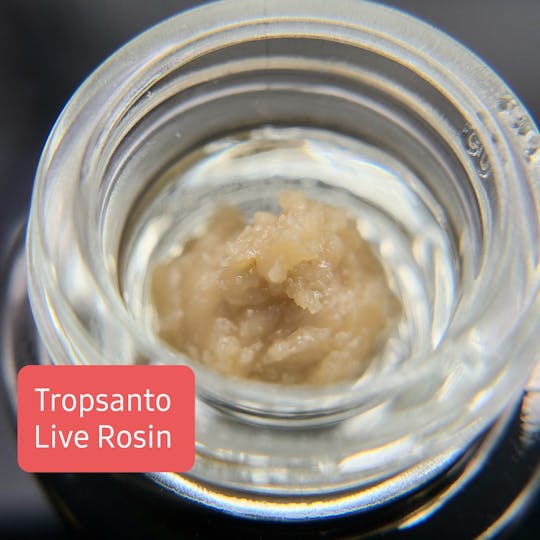 Terpman & Rosin - Trop Santo Live Rosin - 1