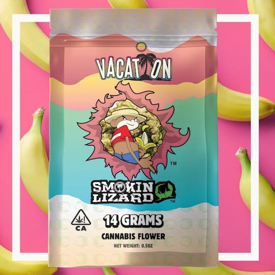 Vacation Cannabis - Johnny Chimpo's Banana OG - 1