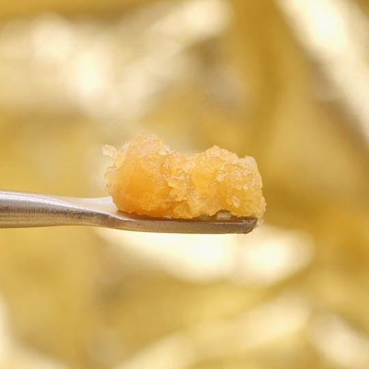 The Craft - XJ-13 - Sugar Wax - 1g - 1