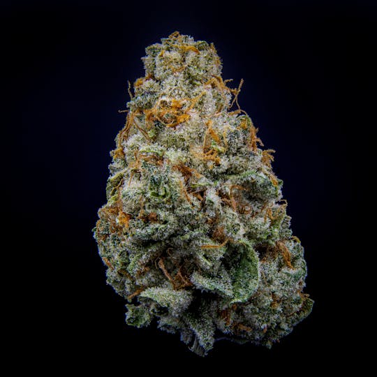 JAR Cannabis Co. - Topanga Canyon by JAR Cannabis Co. - 1