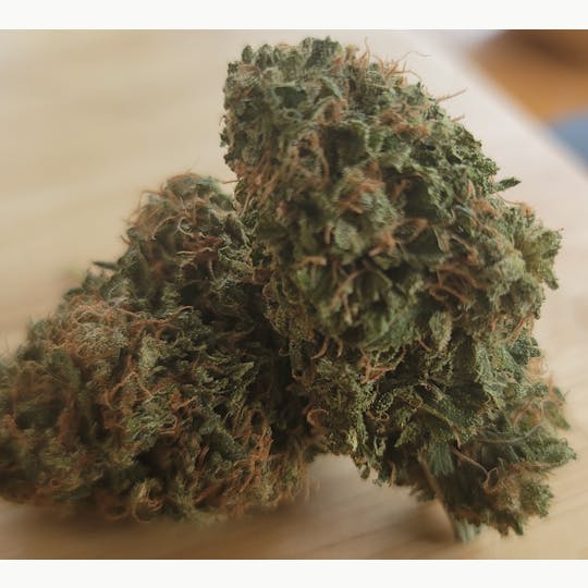 Daedalus Craft Cannabis - Doja Cookies - Daedalus Craft Small Batch Indoor - 1