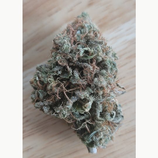 Daedalus Craft Cannabis - KiX- Daedalus Craft Small Batch Indoor - 1