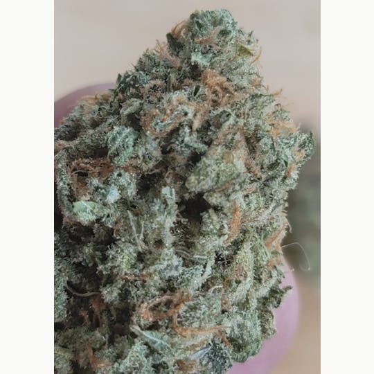 Daedalus Craft Cannabis - Tangie X Chem - Daedalus Craft Small Batch Indoor - 1