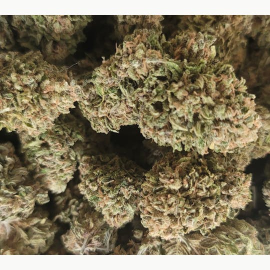 Daedalus Craft Cannabis - Purple Silk #4 - Daedalus Craft Small Batch Indoor - 1