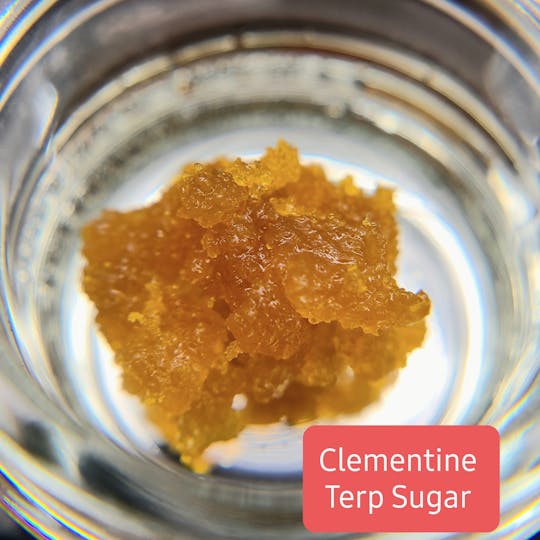 Terpman & Rosin - Clementine Terp Sugar - 1