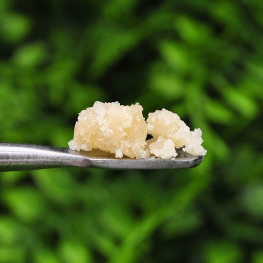 Envy - Red Diesel - Sugar - 1g - 1