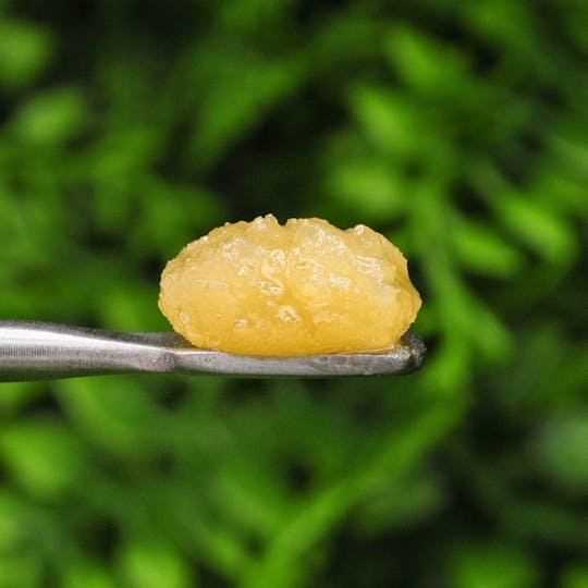 Envy - Member Berry - Sugar Wax - 1g - 1