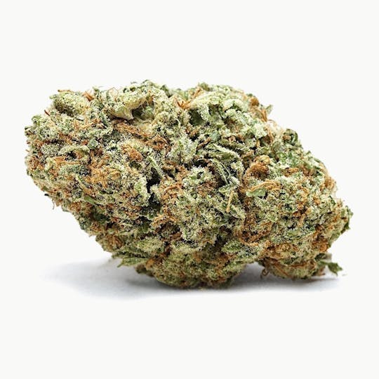High Tide Organics - Papaya Punch | Light Dep - 1