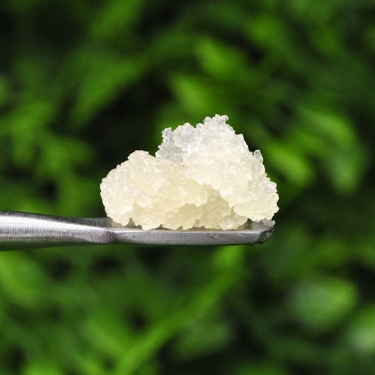 Envy - Cherry Garcia - Sugar - 1g - 1