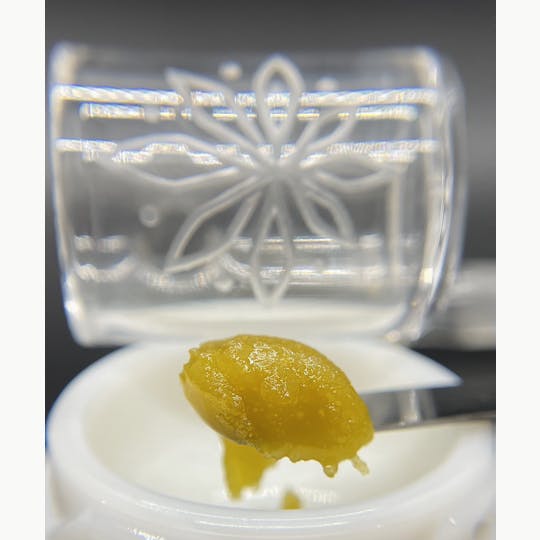 Sooner Glue - SFV OG Badder - 1
