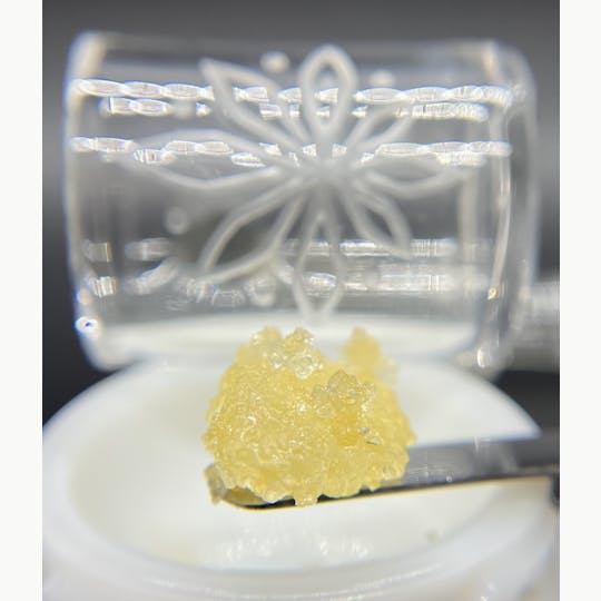 Sooner Glue - Dr. Giggles - 1